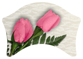 DABAN-054 2 Roses Pink